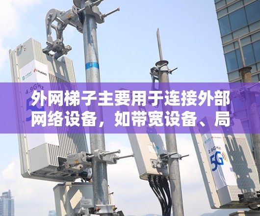 外网梯子主要用于连接外部网络设备，如带宽设备、局域网或广域网的网线。以下是它们的主要组成部分