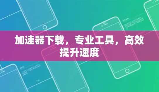 加速器下载，专业工具，高效提升速度