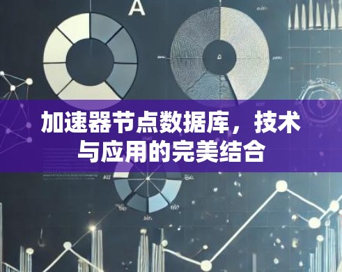 加速器节点数据库，技术与应用的完美结合