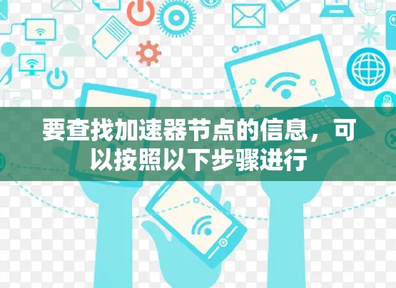 要查找加速器节点的信息，可以按照以下步骤进行