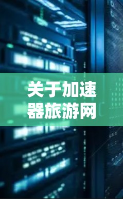 关于加速器旅游网络服务，以下是详细的分析和建议