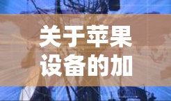 关于苹果设备的加速器，以下是一些关键信息和建议