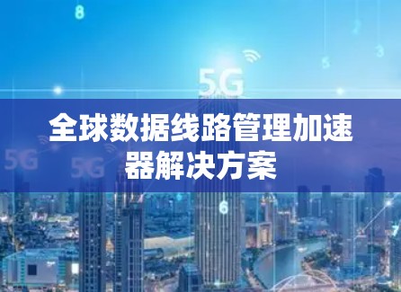 全球数据线路管理加速器解决方案