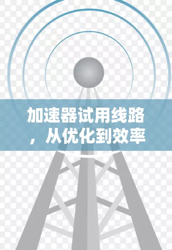 加速器试用线路，从优化到效率提升