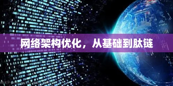 网络架构优化，从基础到肽链