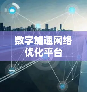 数字加速网络优化平台