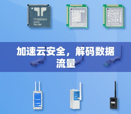加速云安全，解码数据流量