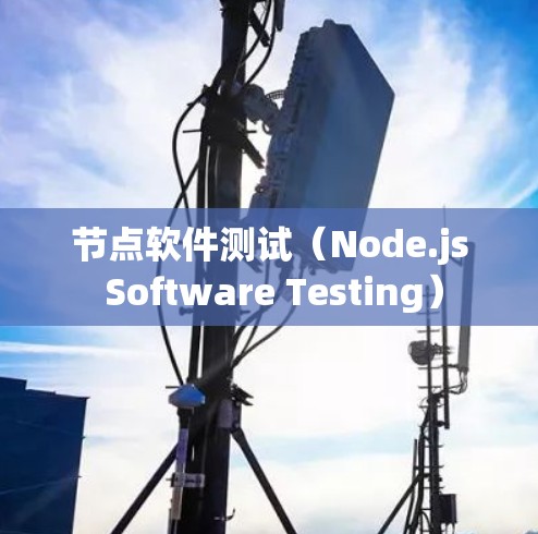 节点软件测试（Node.js Software Testing）