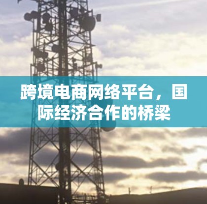 跨境电商网络平台，国际经济合作的桥梁