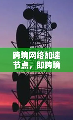 跨境网络加速节点，即跨境网络安全产品，旨在为用户提供在跨境使用网络时的安全防护服务。以下是对这一概念的详细分析