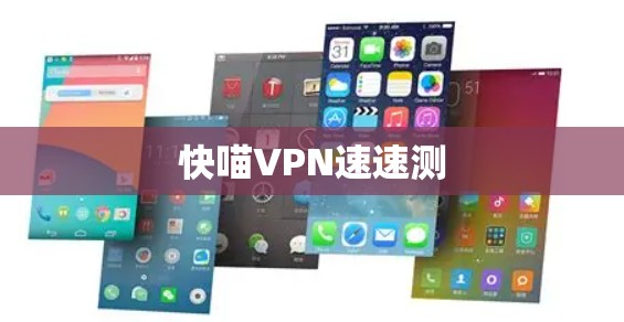 快喵VPN速速测