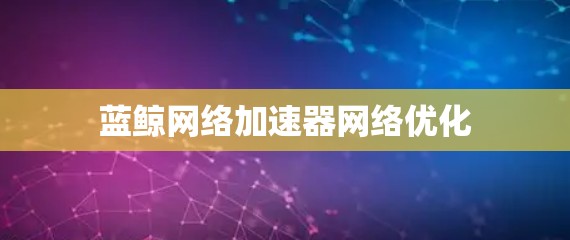 蓝鲸网络加速器网络优化