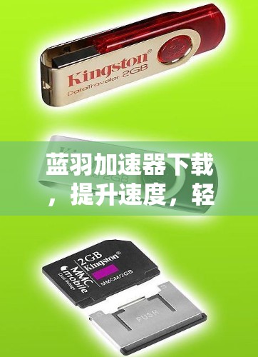 蓝羽加速器下载，提升速度，轻松轻松！