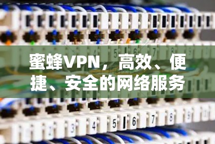 蜜蜂VPN，高效、便捷、安全的网络服务