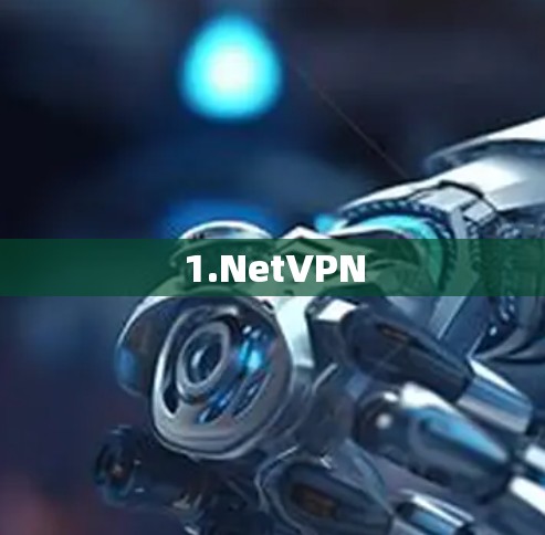 1.NetVPN