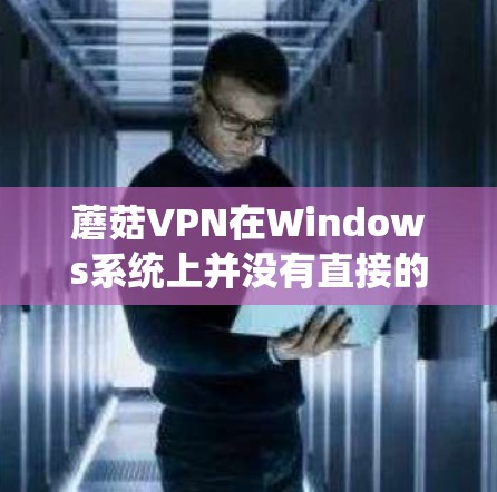 蘑菇VPN在Windows系统上并没有直接的电脑版工具，因为蘑菇VPN是针对苹果（MacOS）和macOS系统开发的。如果需要电脑版的VPN工具，可以考虑苹果的VPN服务，例如