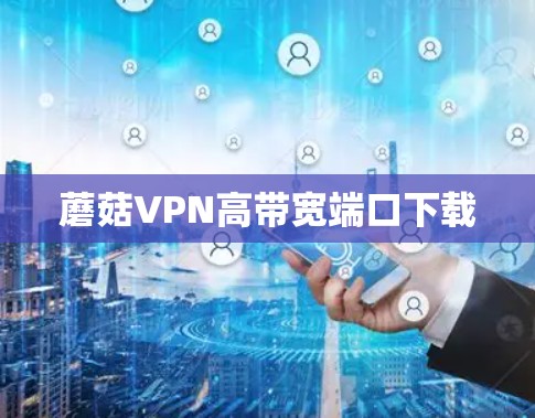 蘑菇VPN高带宽端口下载