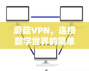 蘑菇VPN，连接数字世界的简单选择