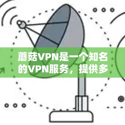 蘑菇VPN是一个知名的VPN服务，提供多种VPN客户端，包括蘑菇VPN、G2、G3等。以下是一份关于蘑菇VPN客户端的教程，涵盖注册、登录、使用和安全设置等内容