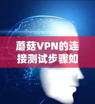 蘑菇VPN的连接测试步骤如下