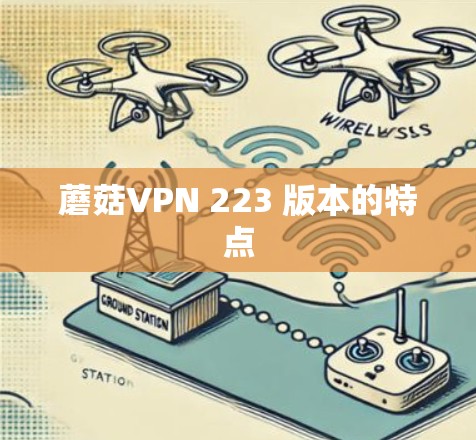 蘑菇VPN 223 版本的特点